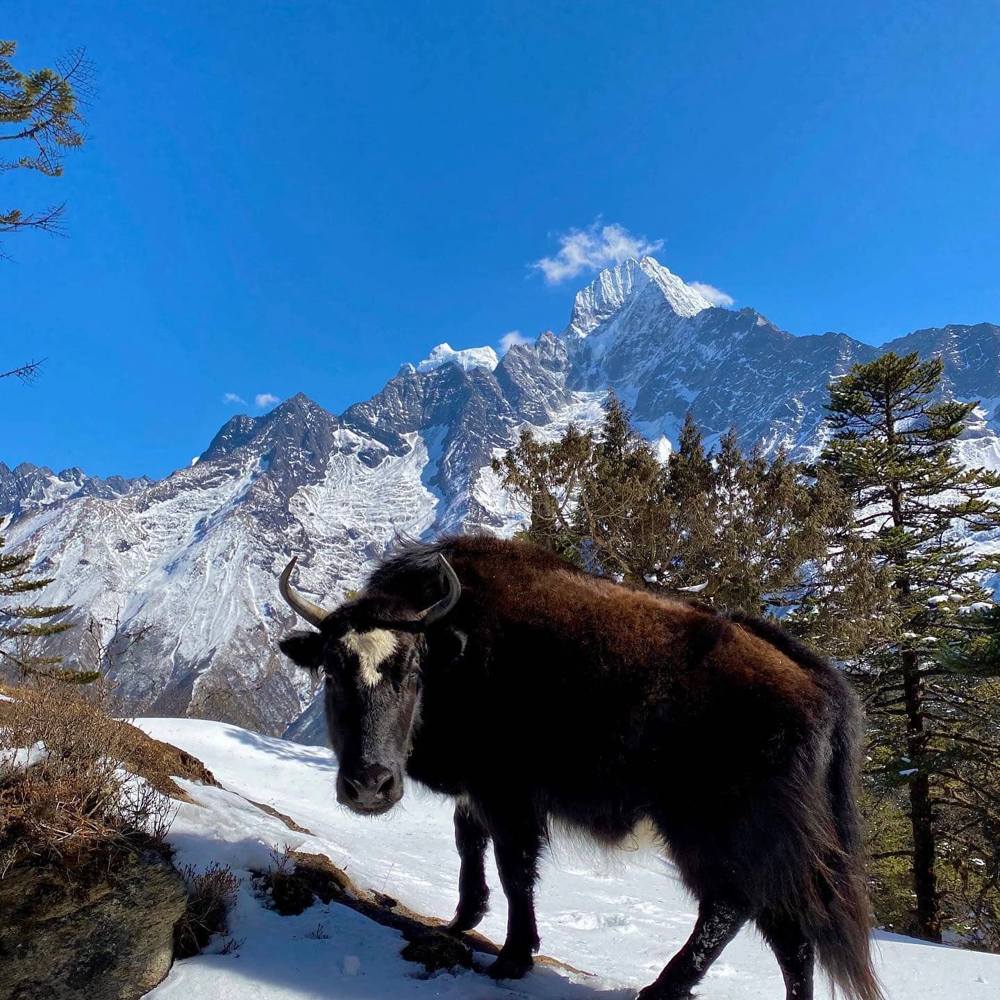 Short Everest Base Camp Trek