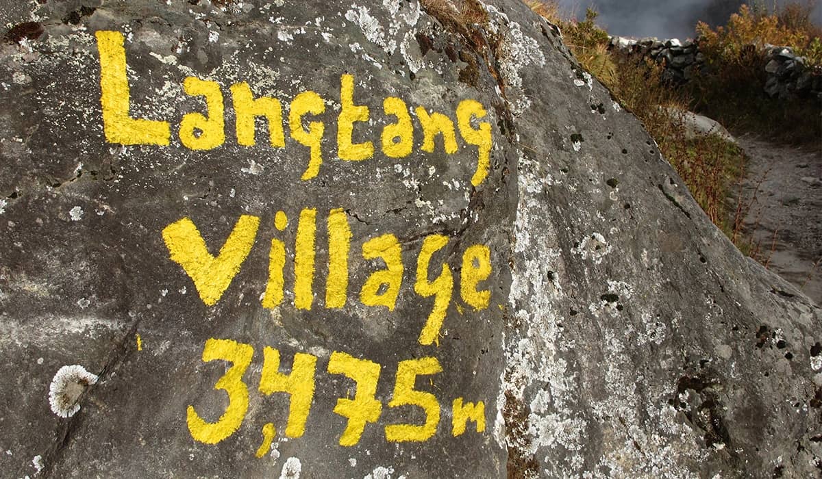 Lama Hotel to Langtang Village (3,430 m; 10 km; 5-6 hrs)