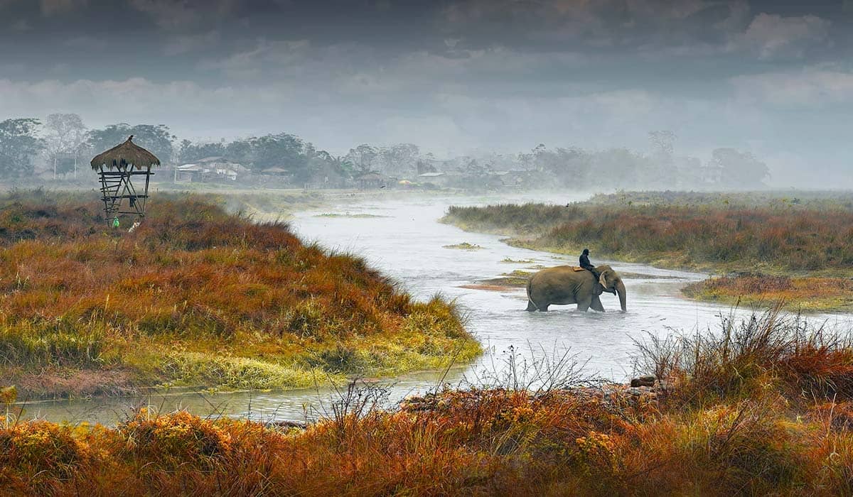 Bardia Jungle Safari 3 Nights
