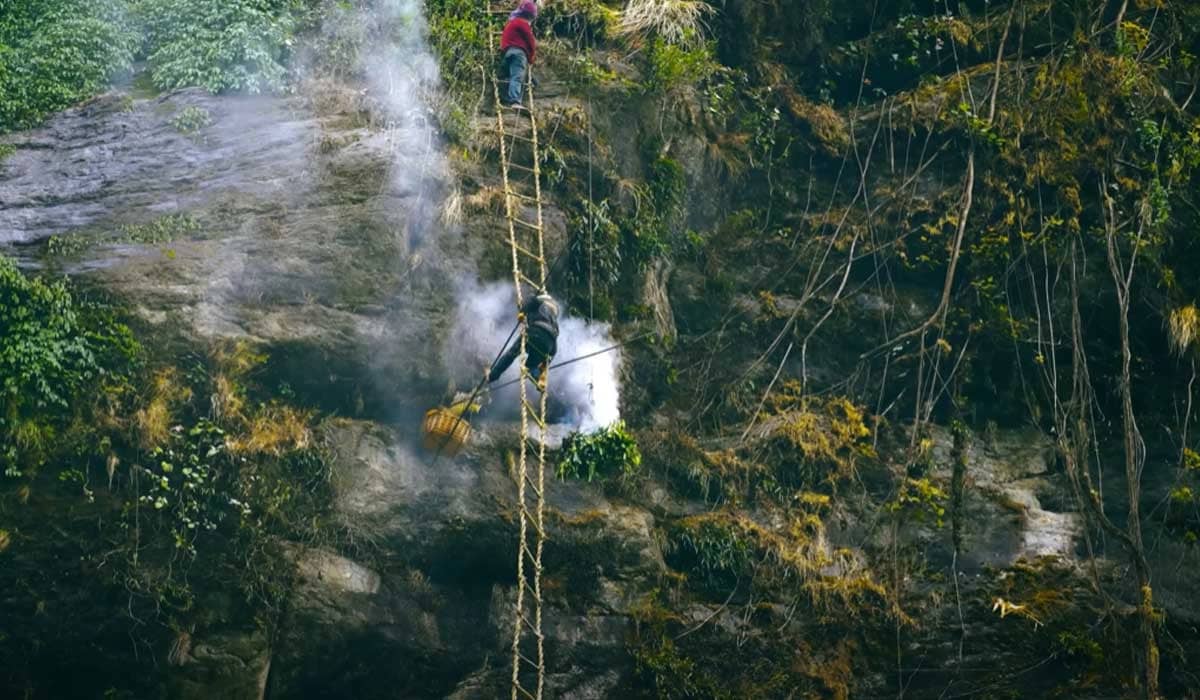 Honey Hunting Tour in Nepal