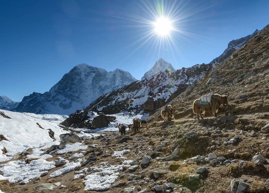 Everest Base Camp Trek with Helicopter Return