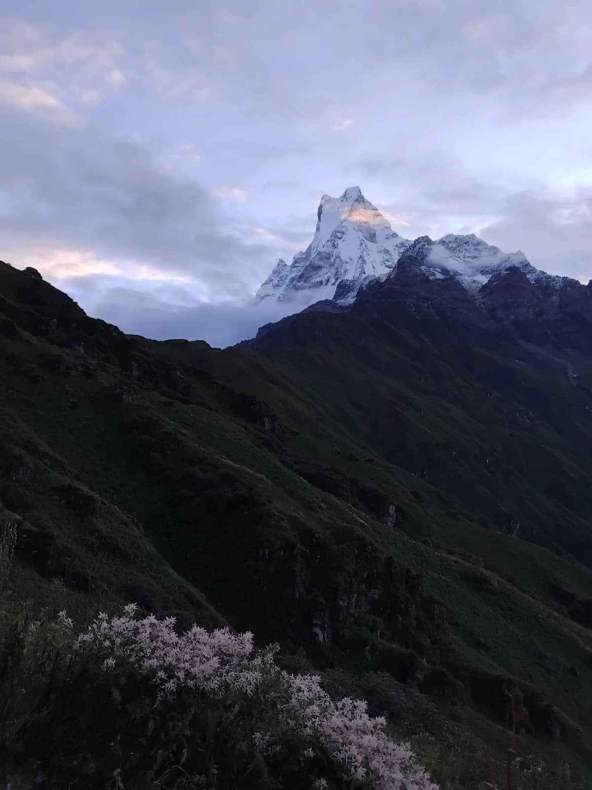 Mardi Himal Trek 5 Days