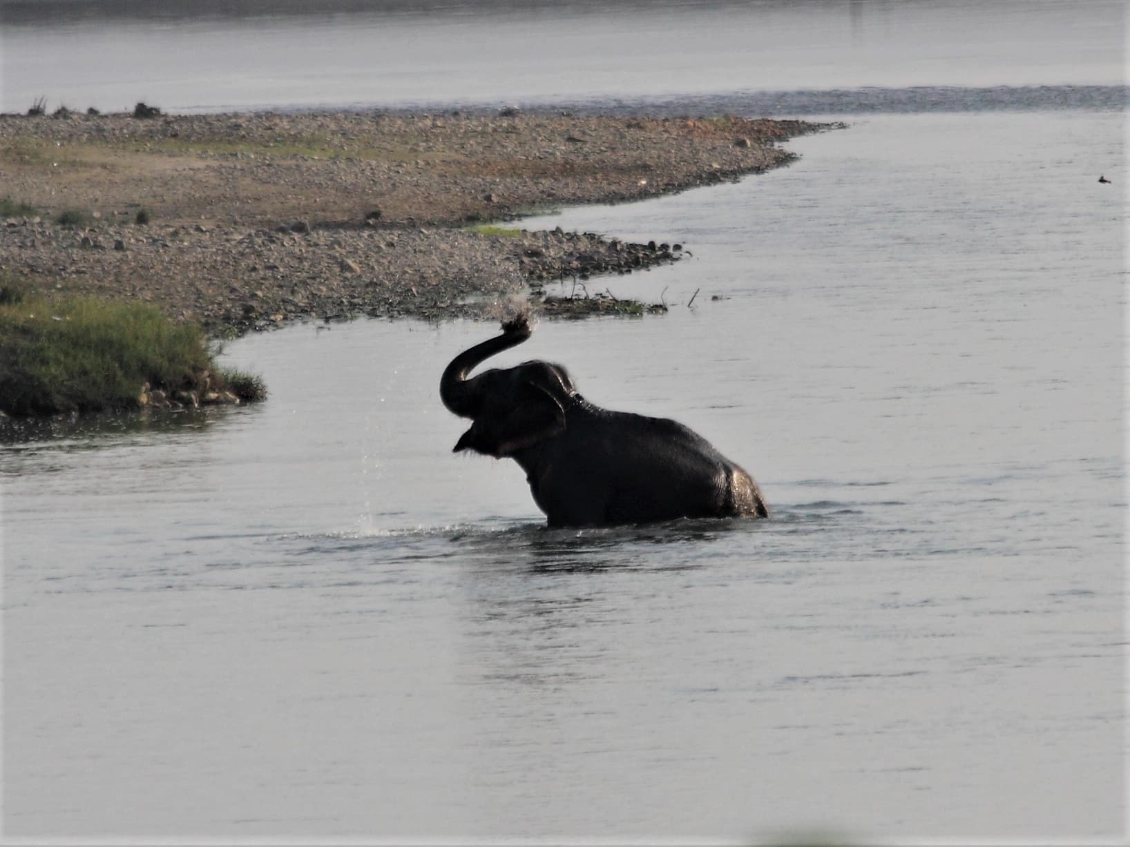 Chitwan Jungle Safari 2 Nights