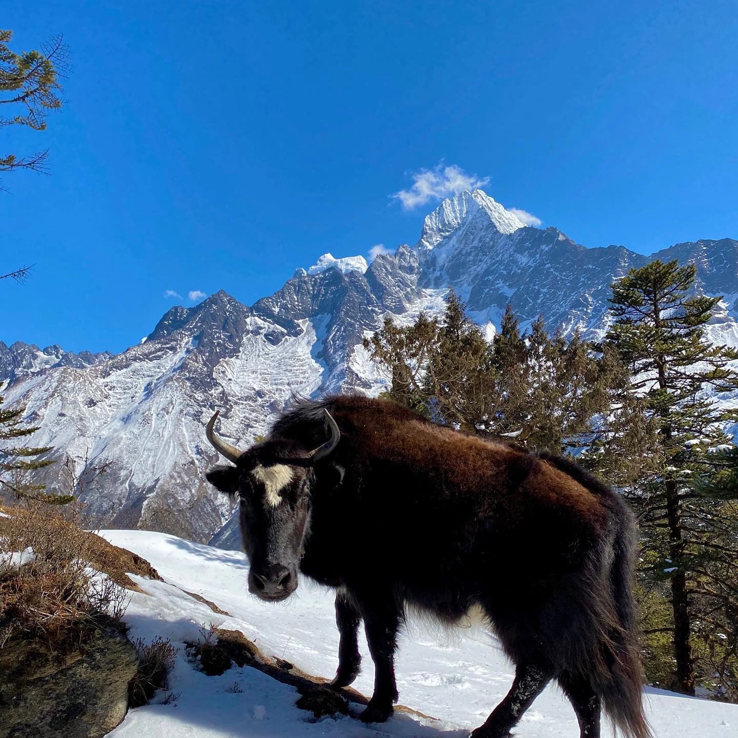 Short Everest Base Camp Trek