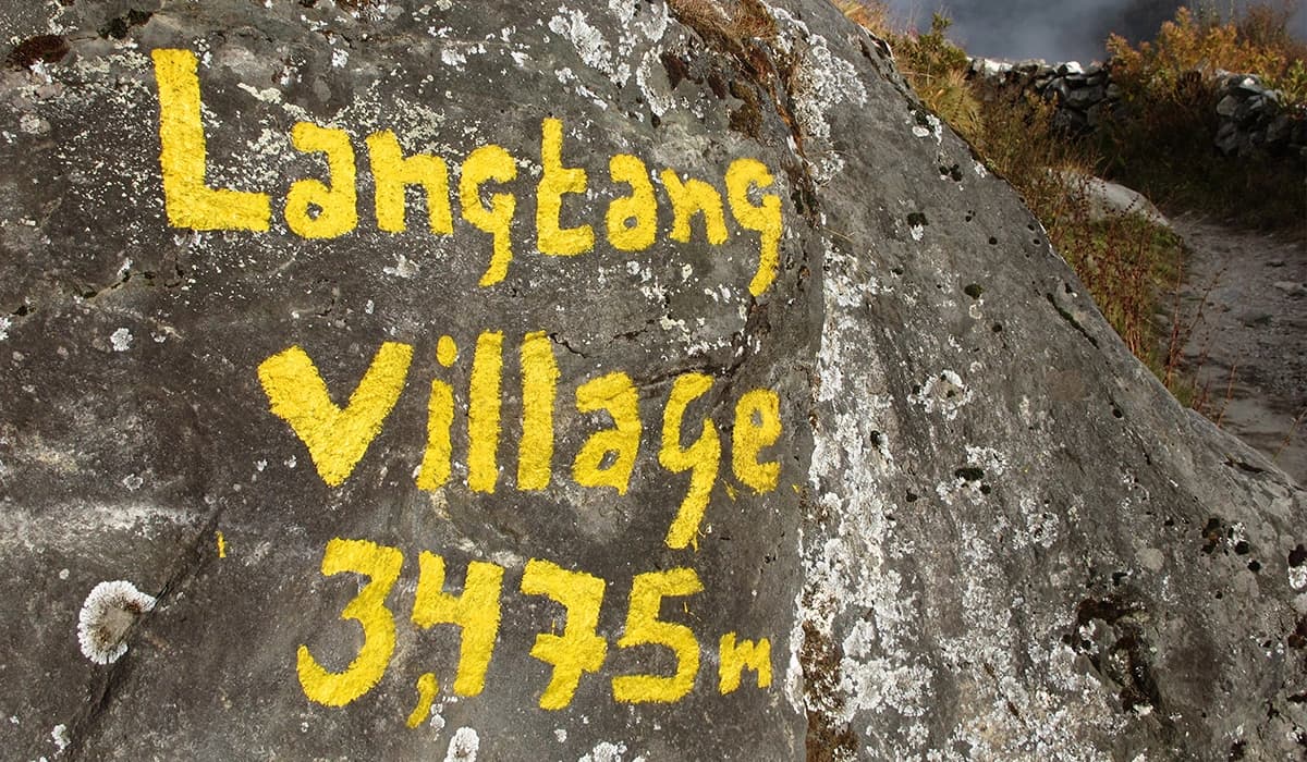 Lama Hotel to Langtang Village (3,430 m; 10 km; 5-6 hrs)