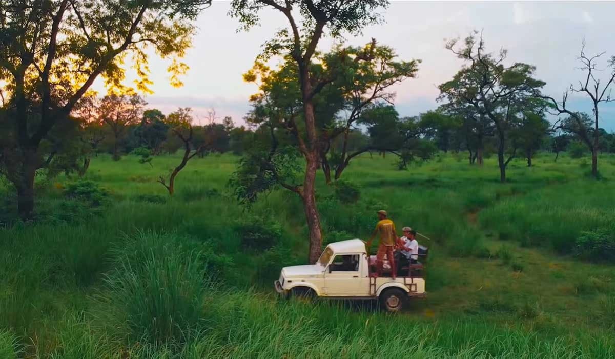 Bardia Jungle Safari 3 Nights