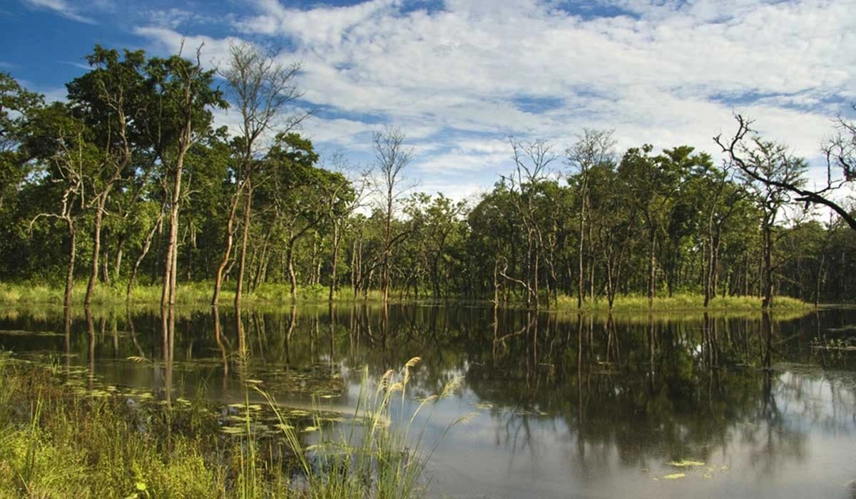Chitwan Jungle Safari 2 Nights