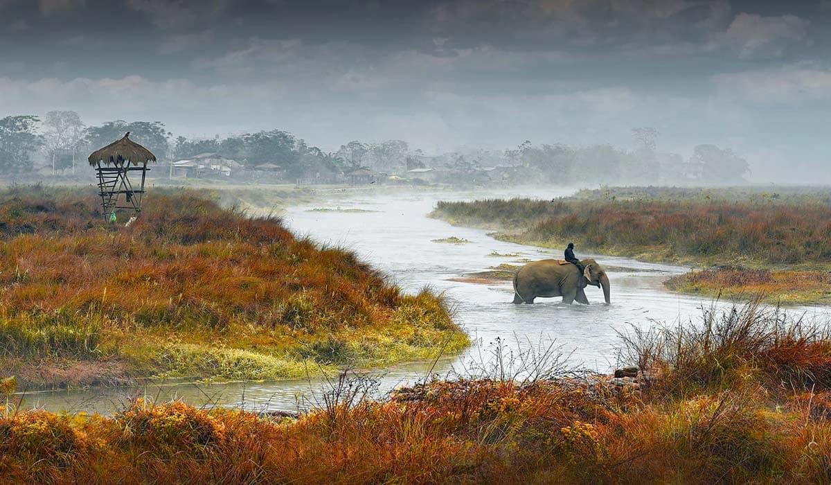 Bardia Jungle Safari 3 Nights