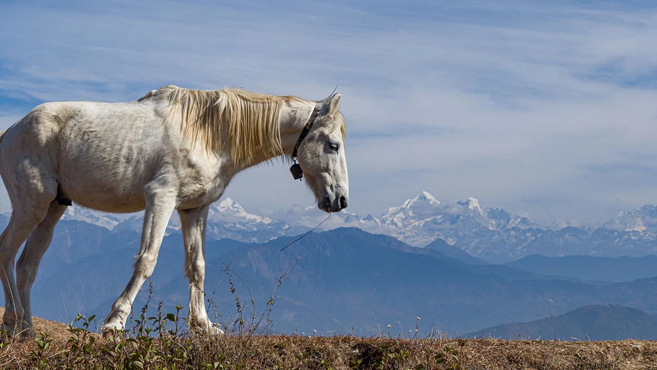 Kakani Suryachaur Day Hike