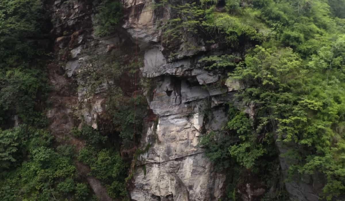 Honey Hunting Tour in Nepal
