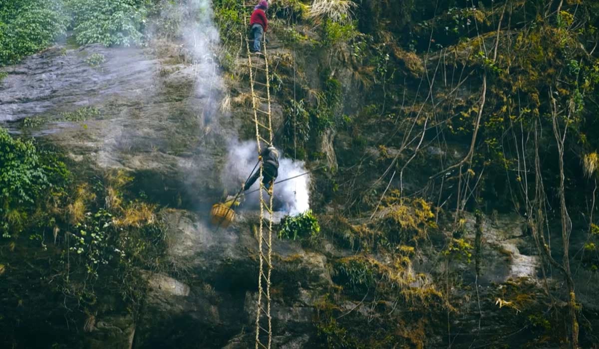 Honey Hunting Tour in Nepal