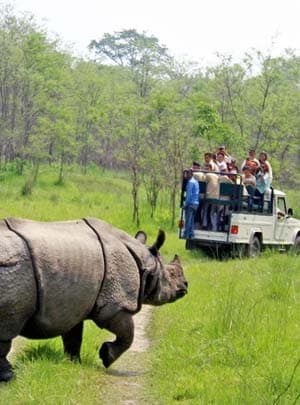 Bardia Jungle Safari 3 Nights