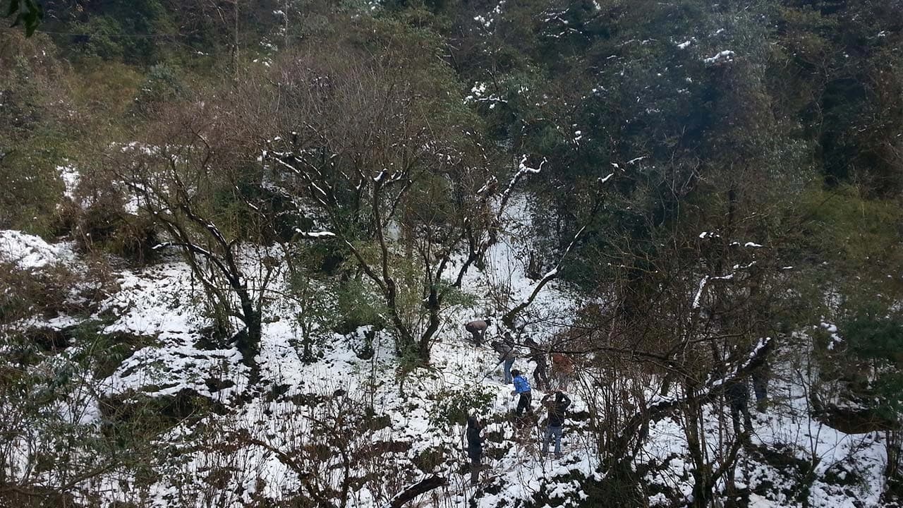 Phulchowki Hike