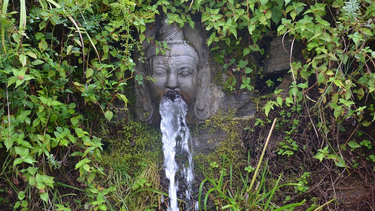Shivapuri Day Hike