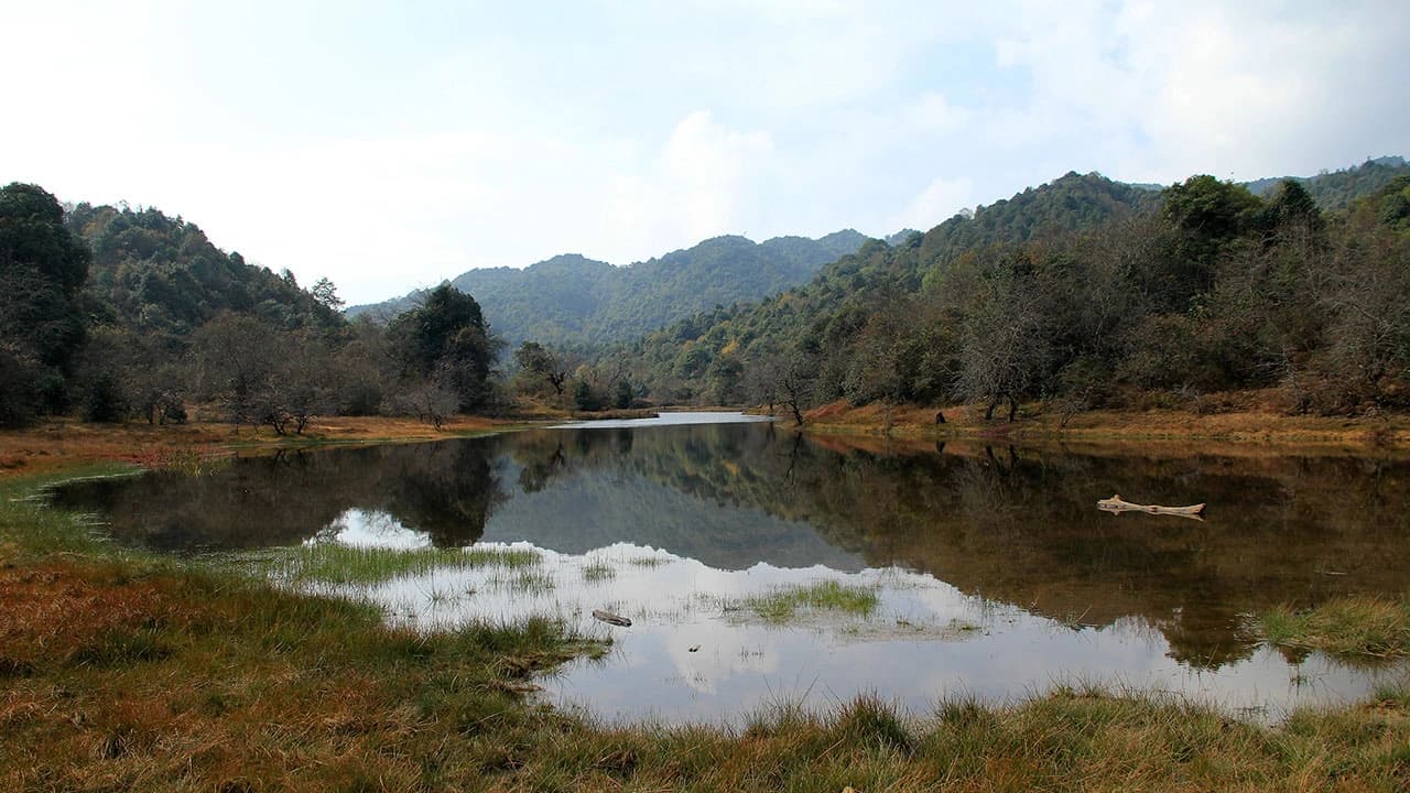 Shivapuri Day Hike