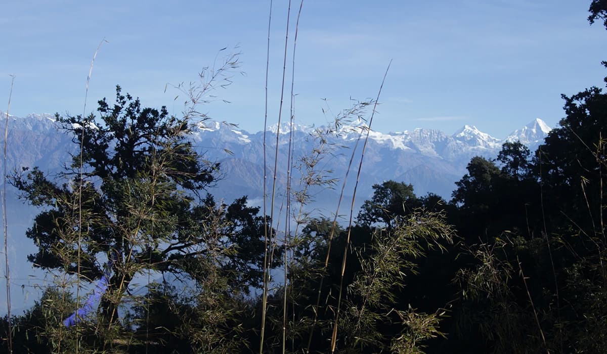 Shivapuri Day Hike