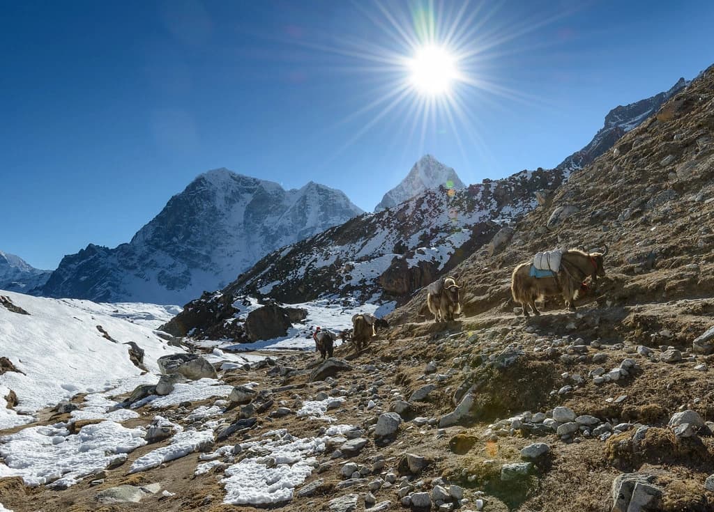 Short Everest Base Camp Trek