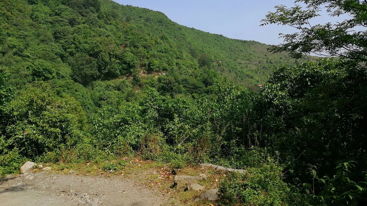 Kakani Suryachaur Day Hike
