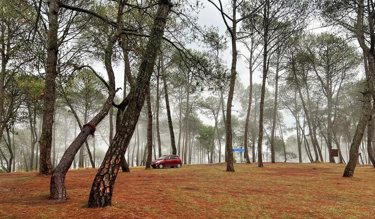Vehicle Rental For Champadevi Hiking